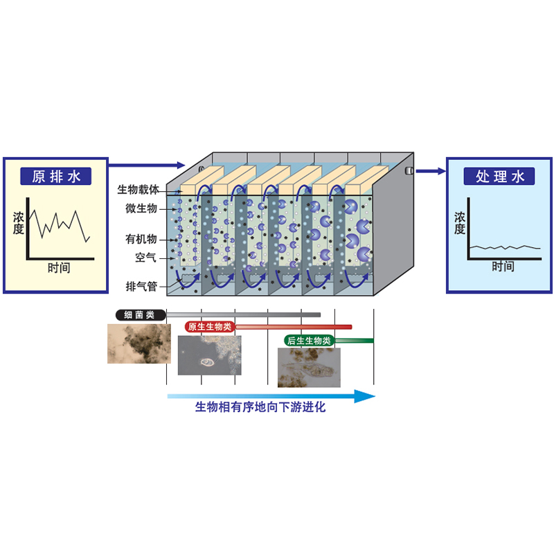 4-MCOP反應池（好氧生化處理）.jpg